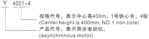 西安泰富西玛Y系列(H355-1000)高压YKS5006-10/450KW三相异步电机型号说明