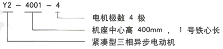 YR系列(H355-1000)高压YKS5006-10/450KW三相异步电机西安西玛电机型号说明